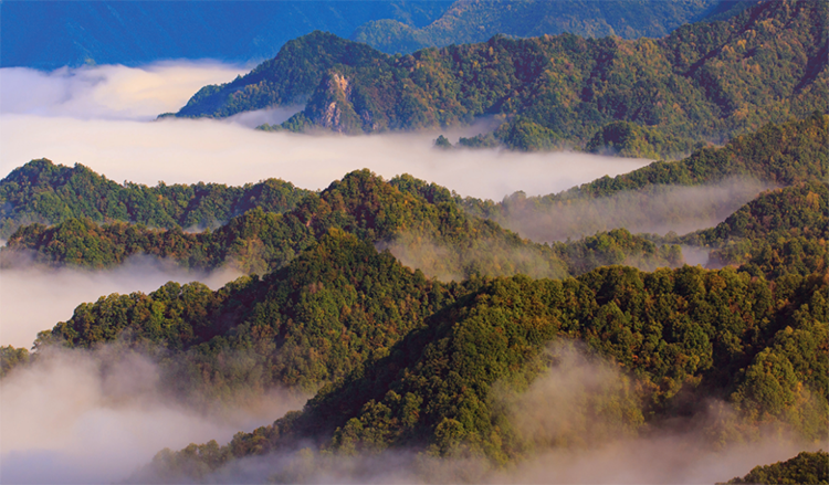 化龙山