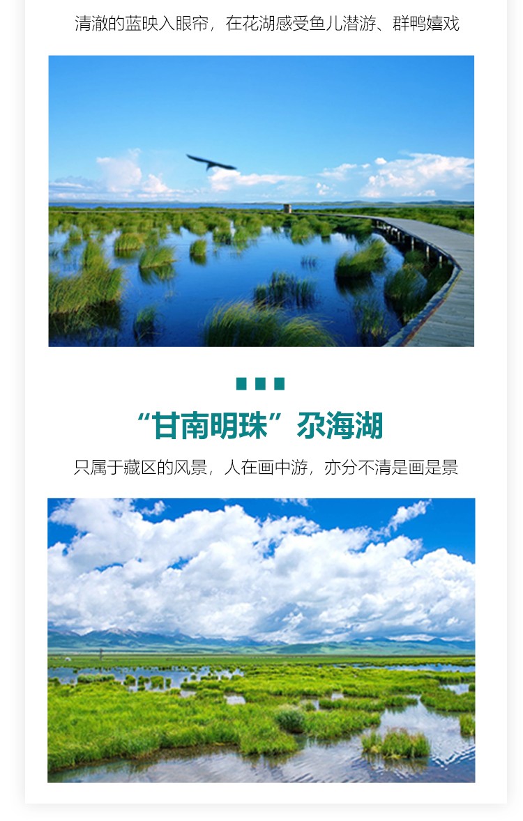 悠游甘南10 悠游甘南10