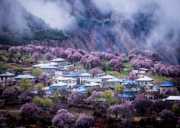 【自驾西藏·藏地桃韵】3-4月月丹巴藏寨+然乌湖+秘境冰川+波密桃花沟+嘎拉桃花村+羊卓雍措+帕邦喀+布达拉宫+纳木措11/15日