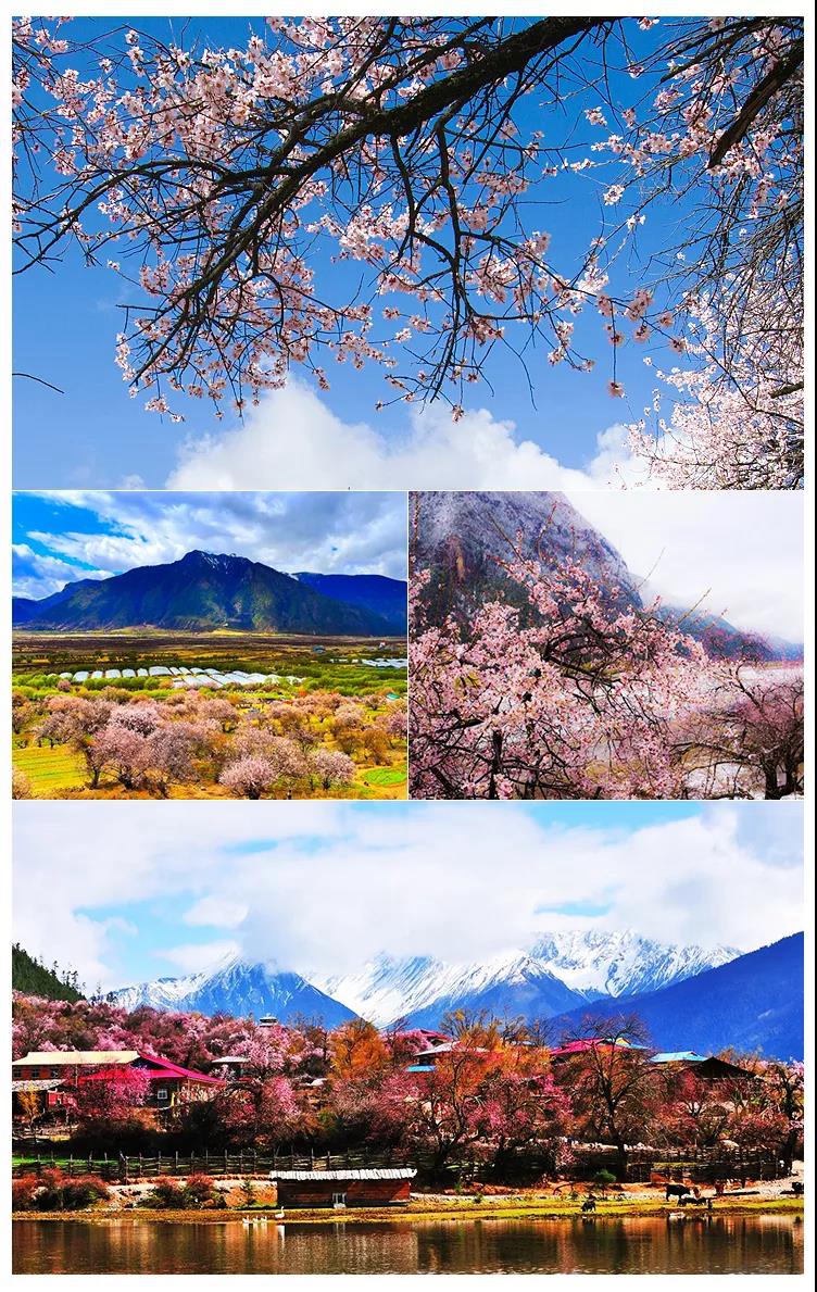 寻梦桃花源9日03