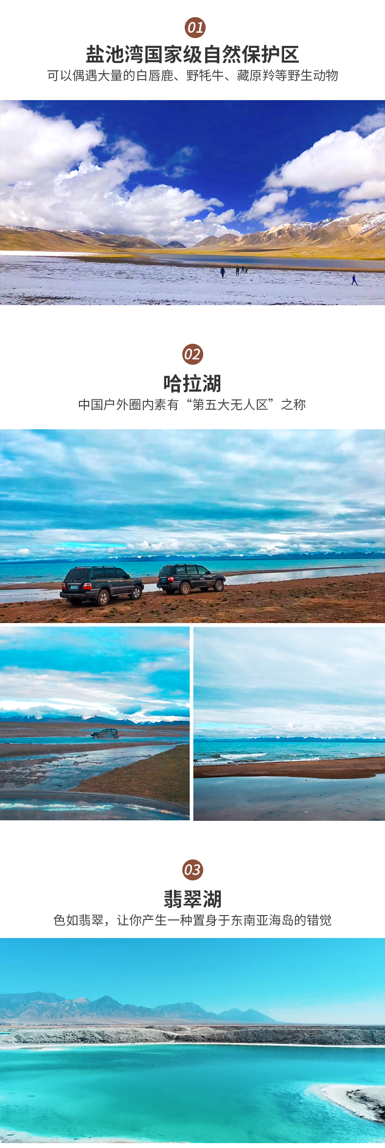 大美哈拉湖2_02