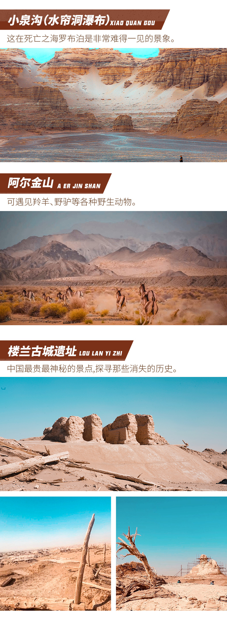 罗布泊2_05