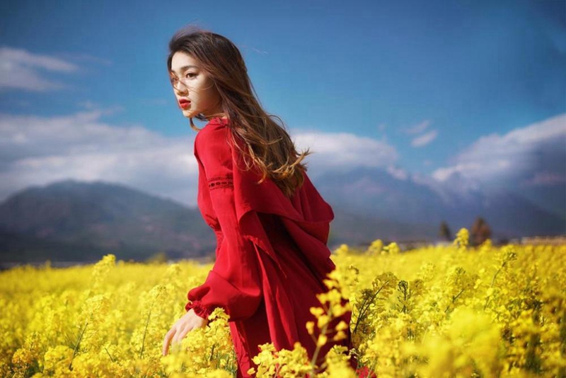 汉中油菜花5