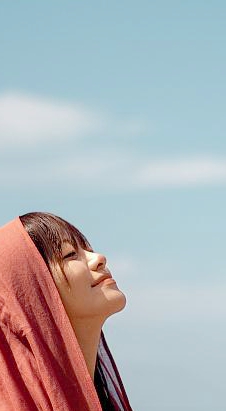 私家团