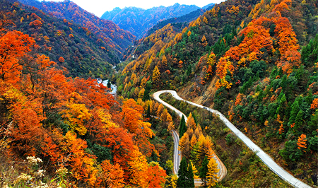 太洋公路