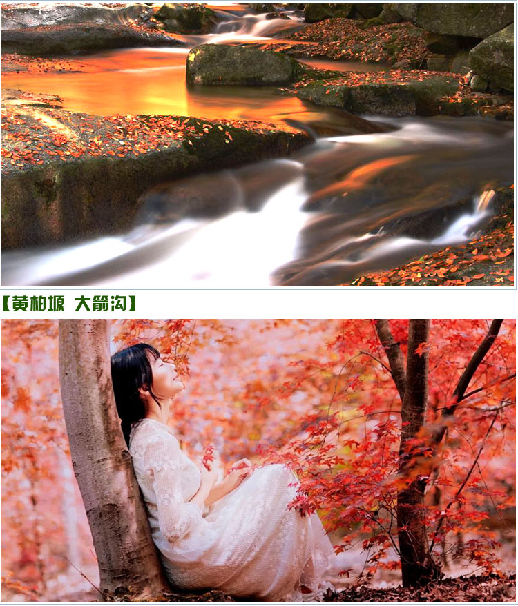 详情_04