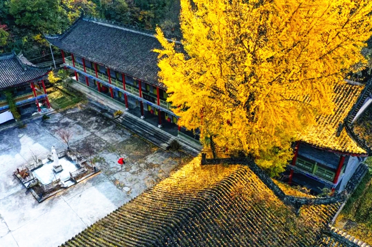 紫柏山龙头山3日20