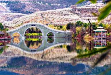 【西乡| 自驾】2-3月春意盎然/牧马河畔《古镇+樱花+茶园》2日休闲自驾活动！