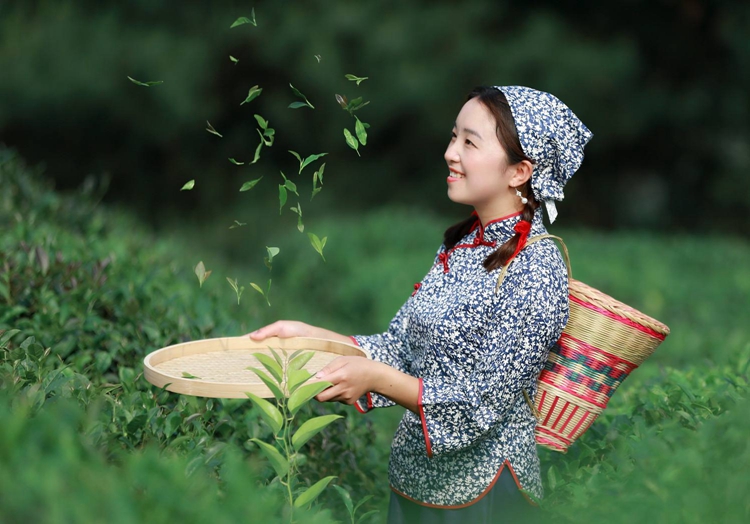 【采茶| 自驾】3-4月连发春意盎然/牧马河畔《游船+古镇+水乡+茶园采茶+美食》2日