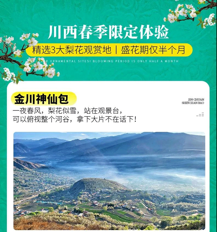 3月12  春染川西08