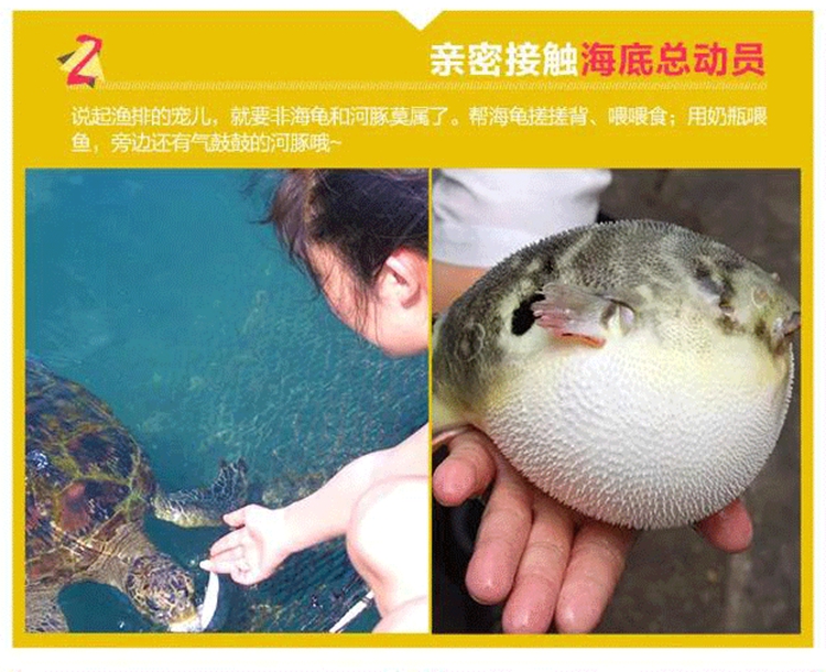 4月12海岛13