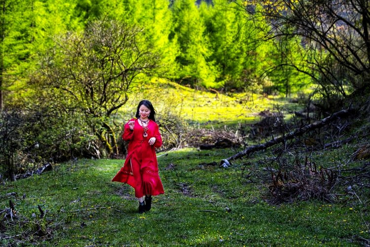 老黎平草川子09