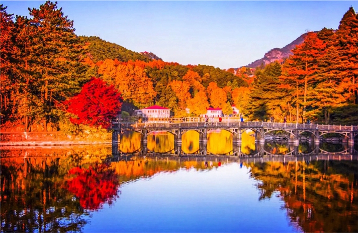 背景图1