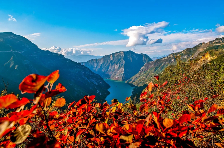 <全景·秋醉三峡5天4晚>三峡之巅看漫山红叶 远观白帝城+神女天路观沧海望巫峰+巫山小三峡游船+徒步文峰观 俯瞰巫峡胜景+巴东巫峡口 看山峦换红装 +“朝辞白帝彩云间”白帝城 | 品巫山品特色烤鱼 看万里长江夜景 |全程0购物 | 全程严选准四酒店 高质睡眠