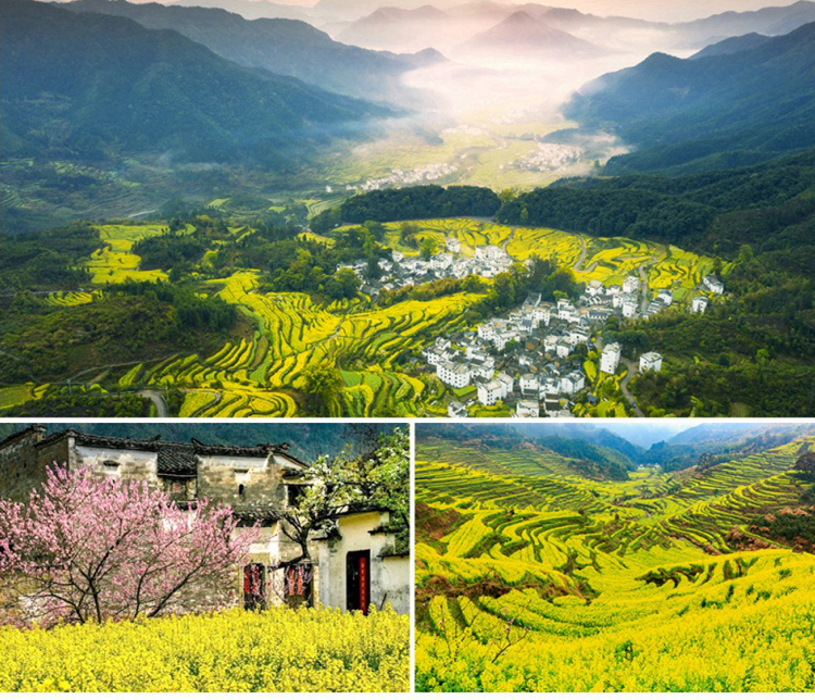 背景图3_副本