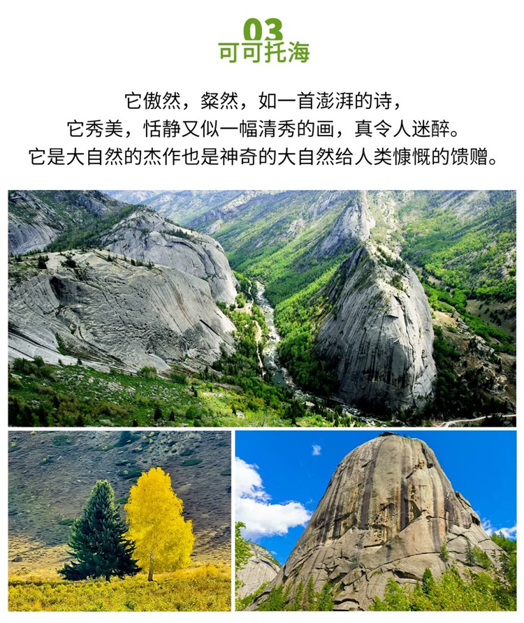 新疆9