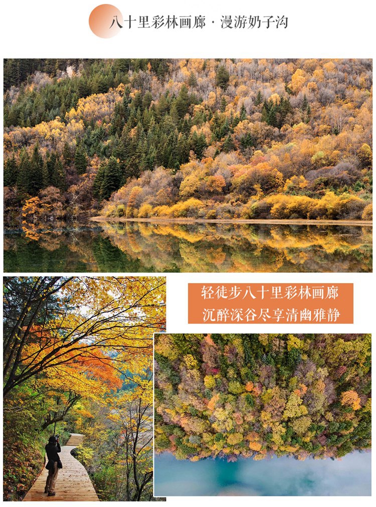 米亚罗08_副本_副本