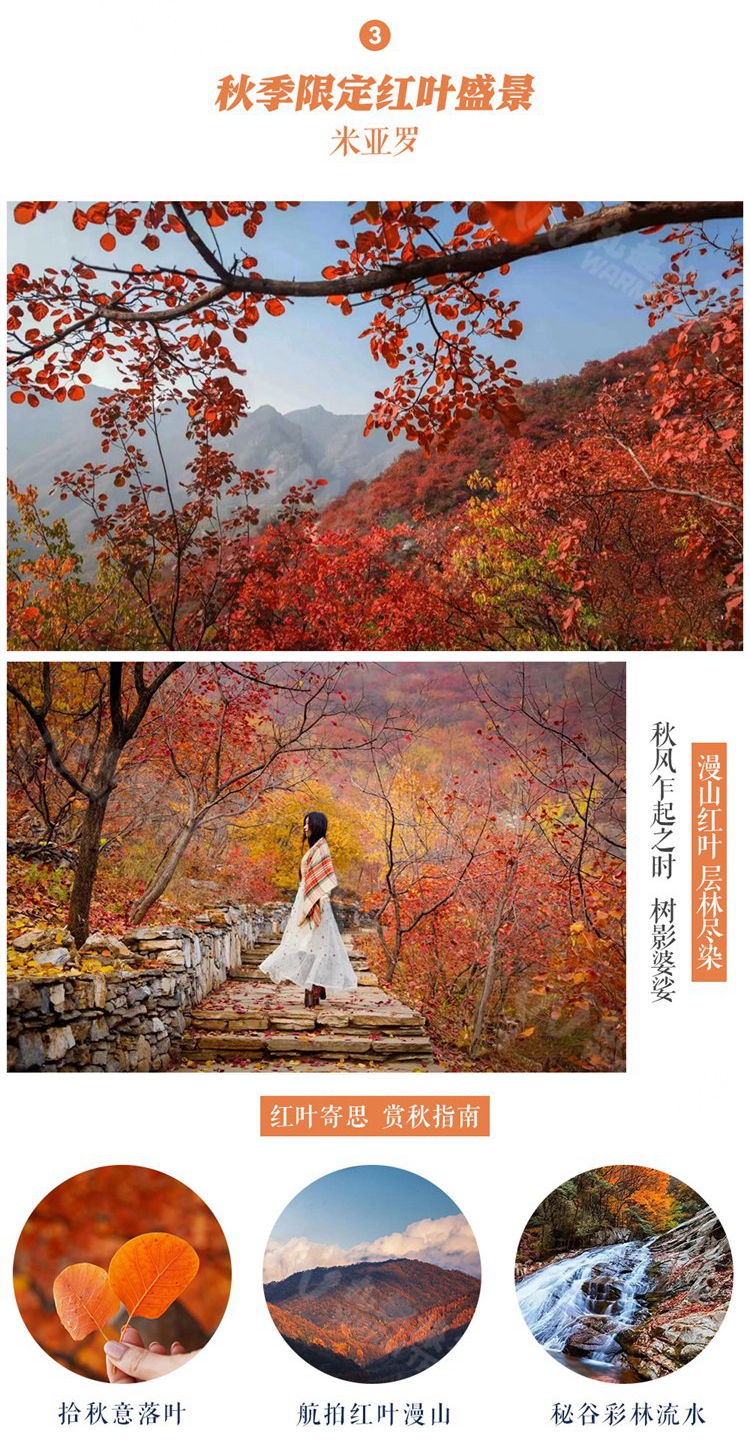 米亚罗08_副本_副本_副本