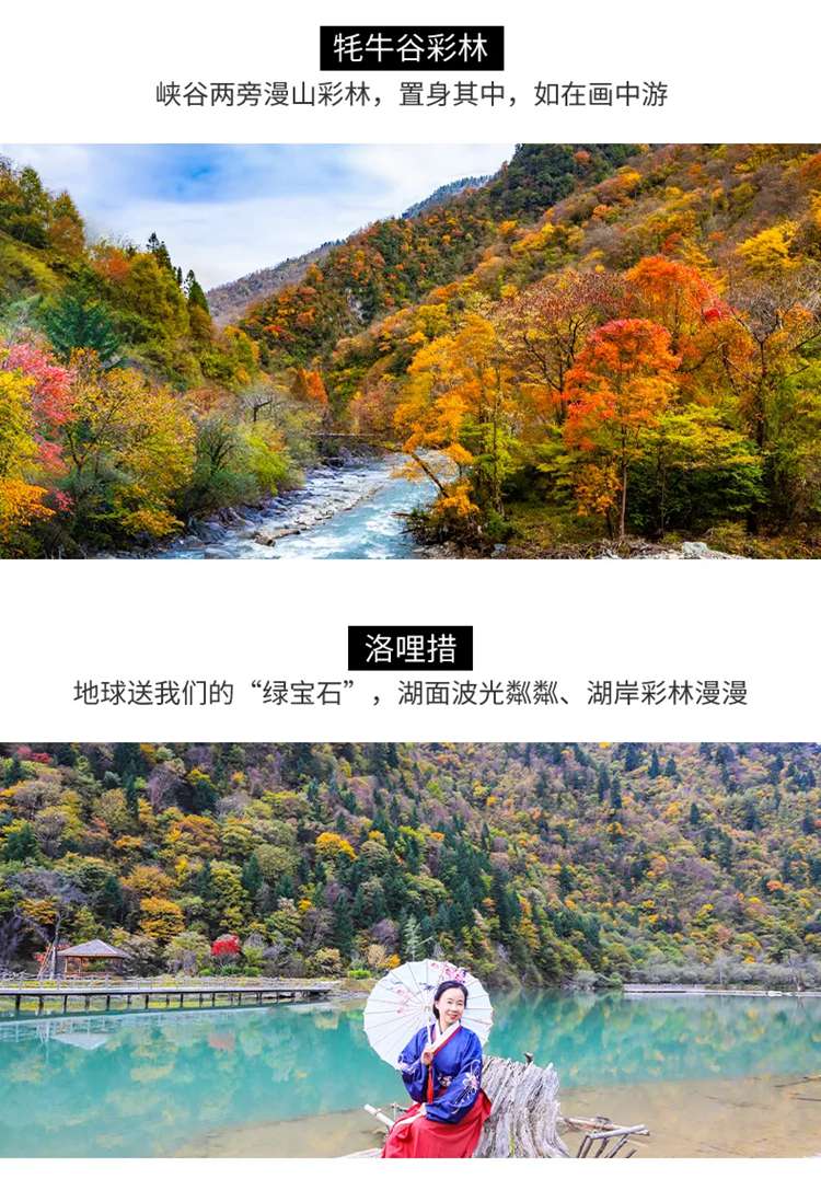 大美黑稻22