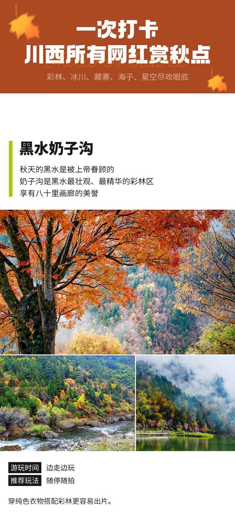 大美黑毕09