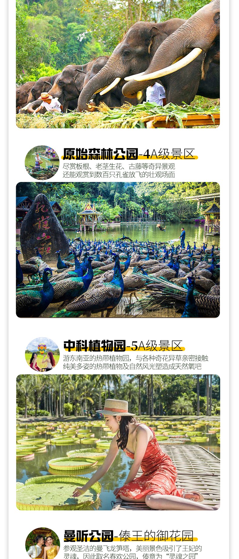 西双版纳05