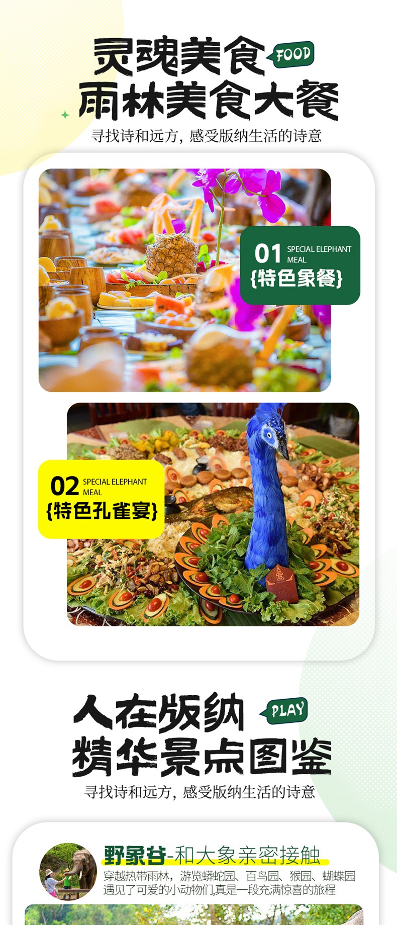 西双版纳08