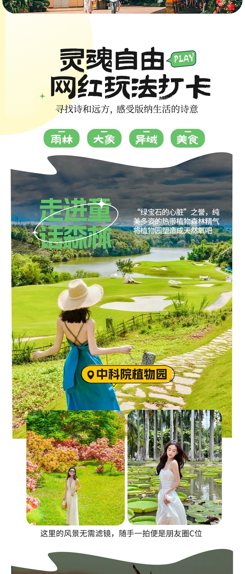 西双版纳03