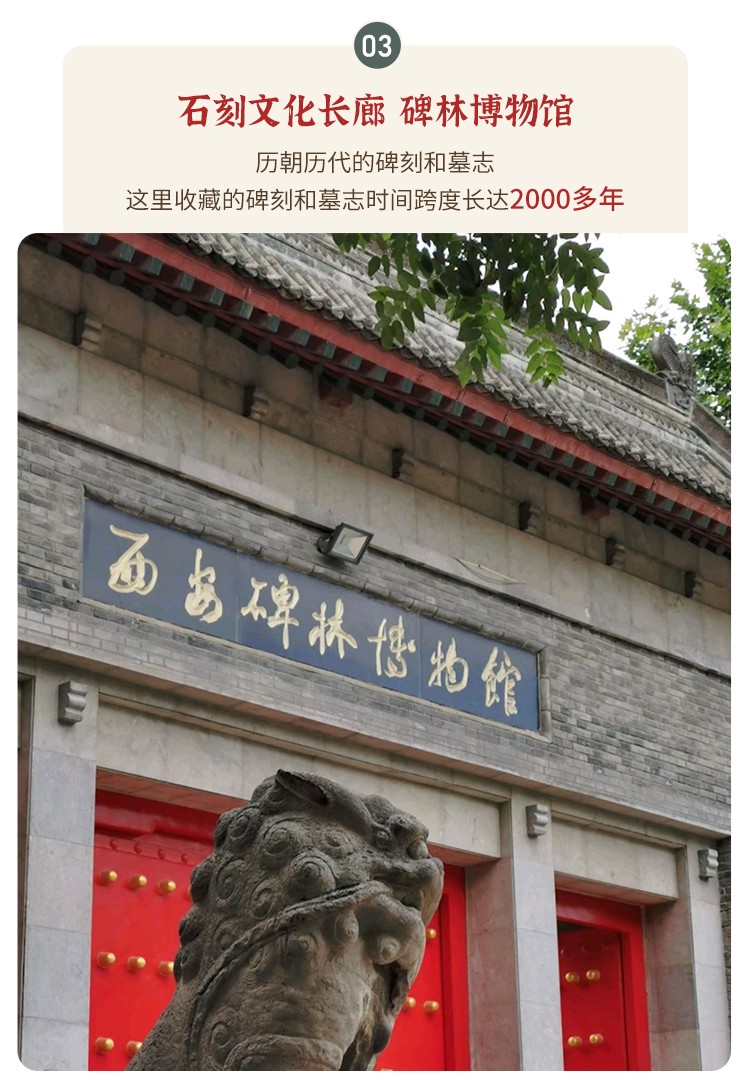 又见长安5日12