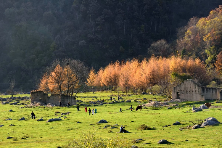 秦巴深度摄影7日游26