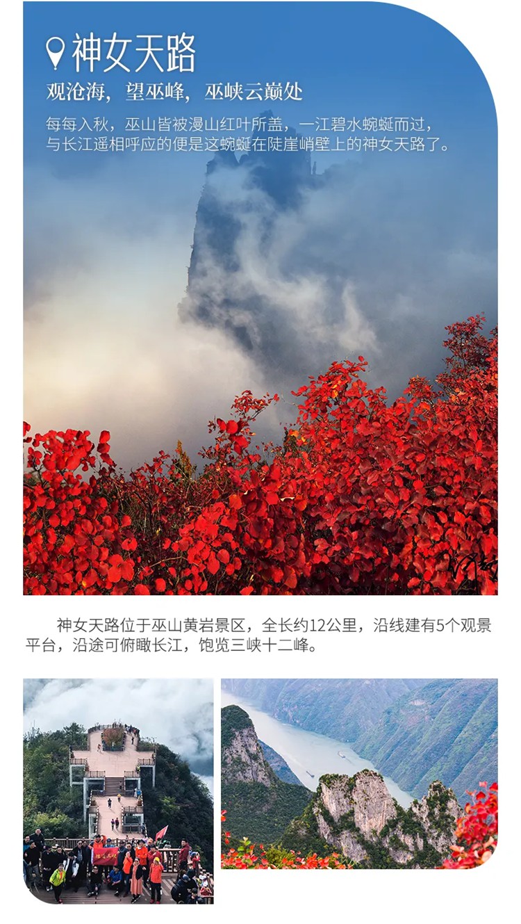 红叶醉三峡5日07