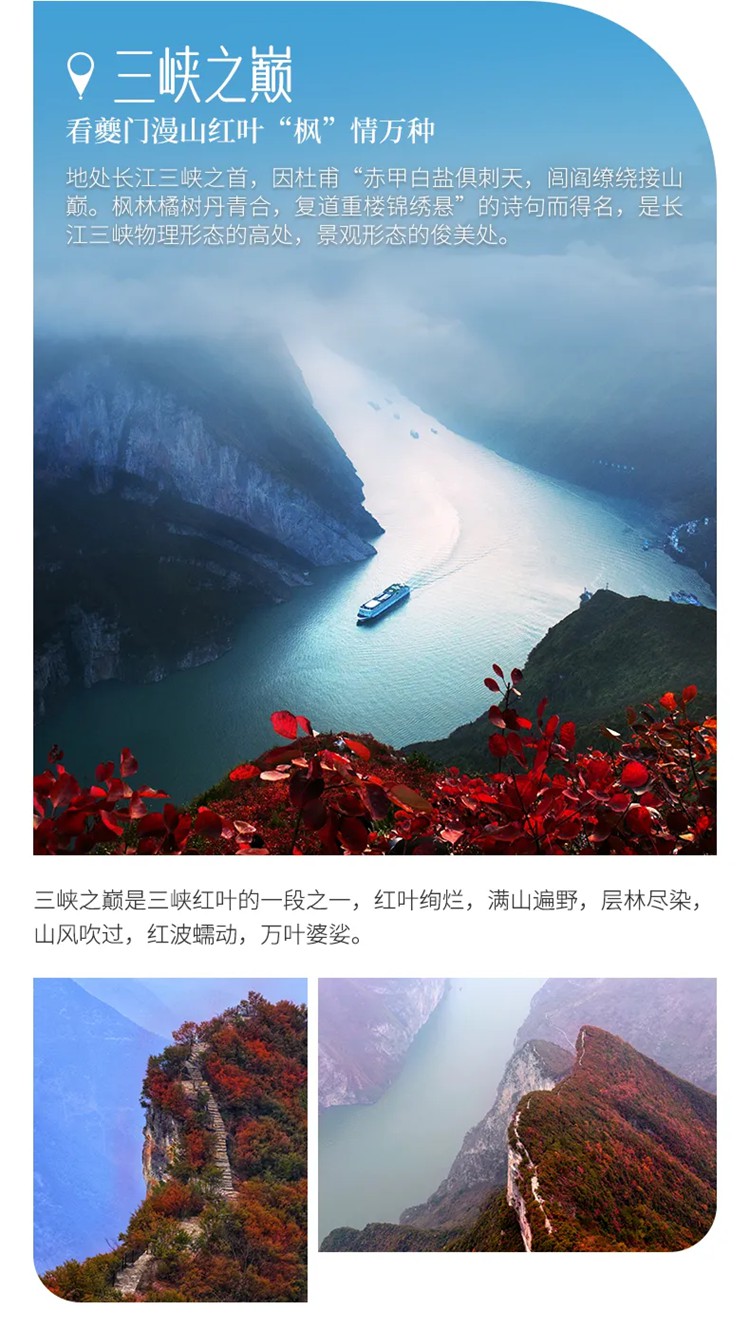 红叶醉三峡5日05