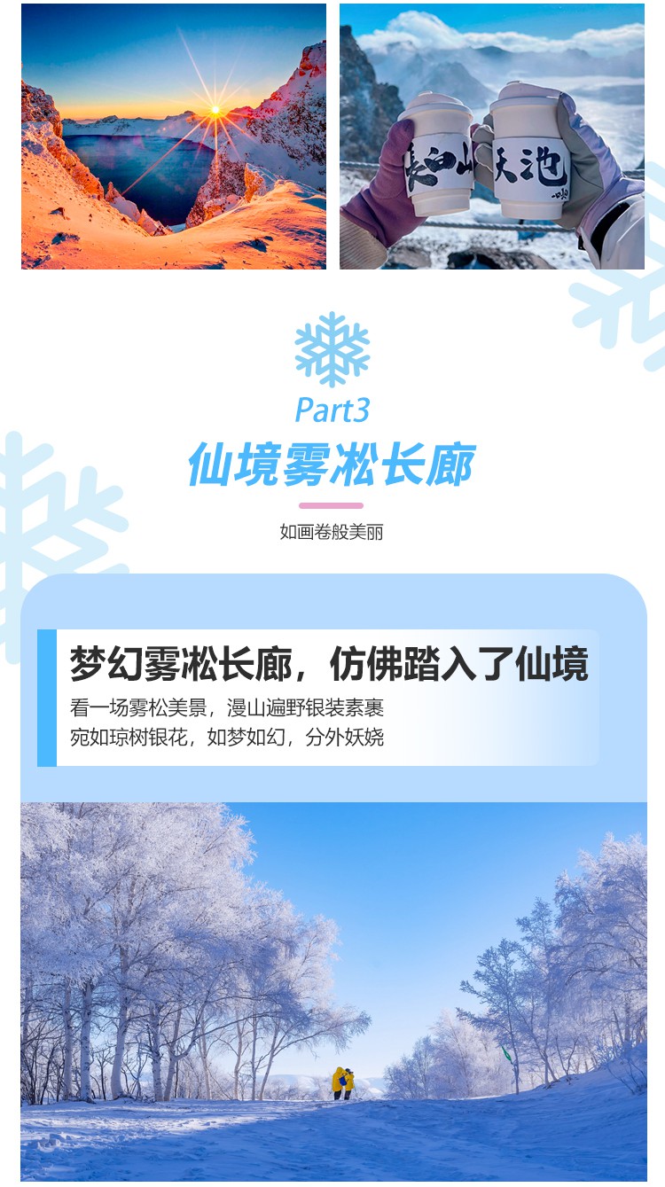 东北11