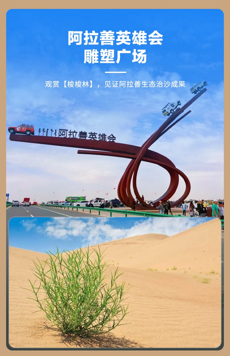 2025年腾格里沙漠跨年17