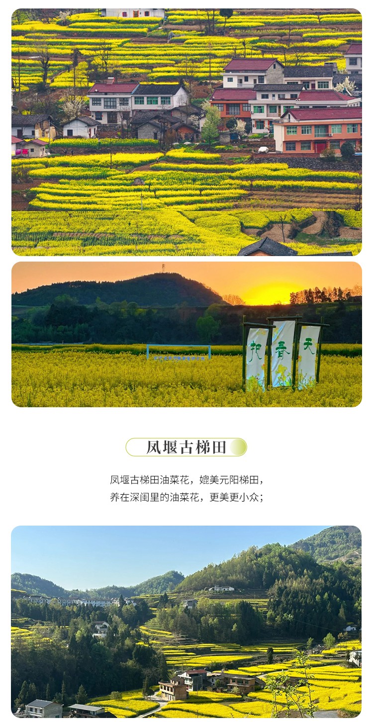 2025年陕南寻梦汉中春5日08