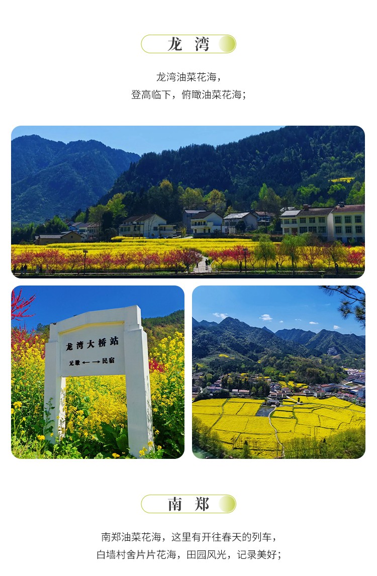 2025年陕南寻梦汉中春5日06