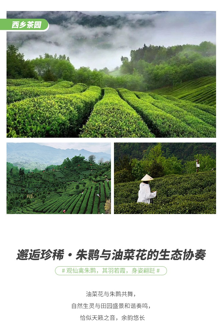 2025年陕南汉中途5日11