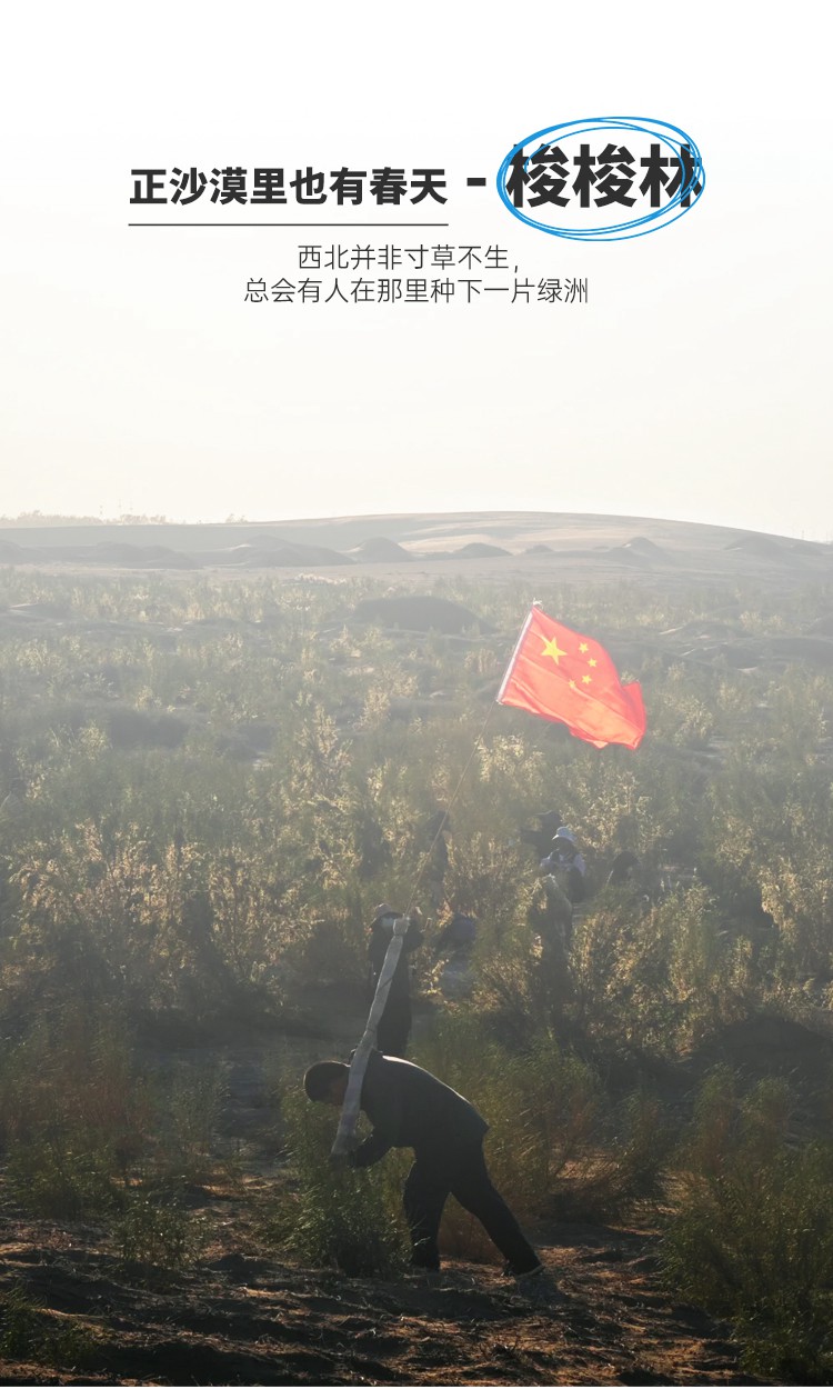 2025年腾格里轻徒3日13