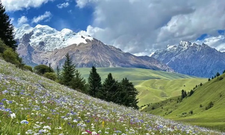 2025年川西格聂01