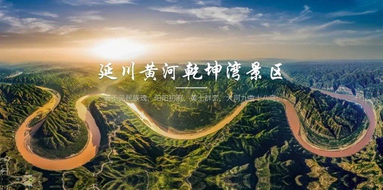 2025年金延安3日12