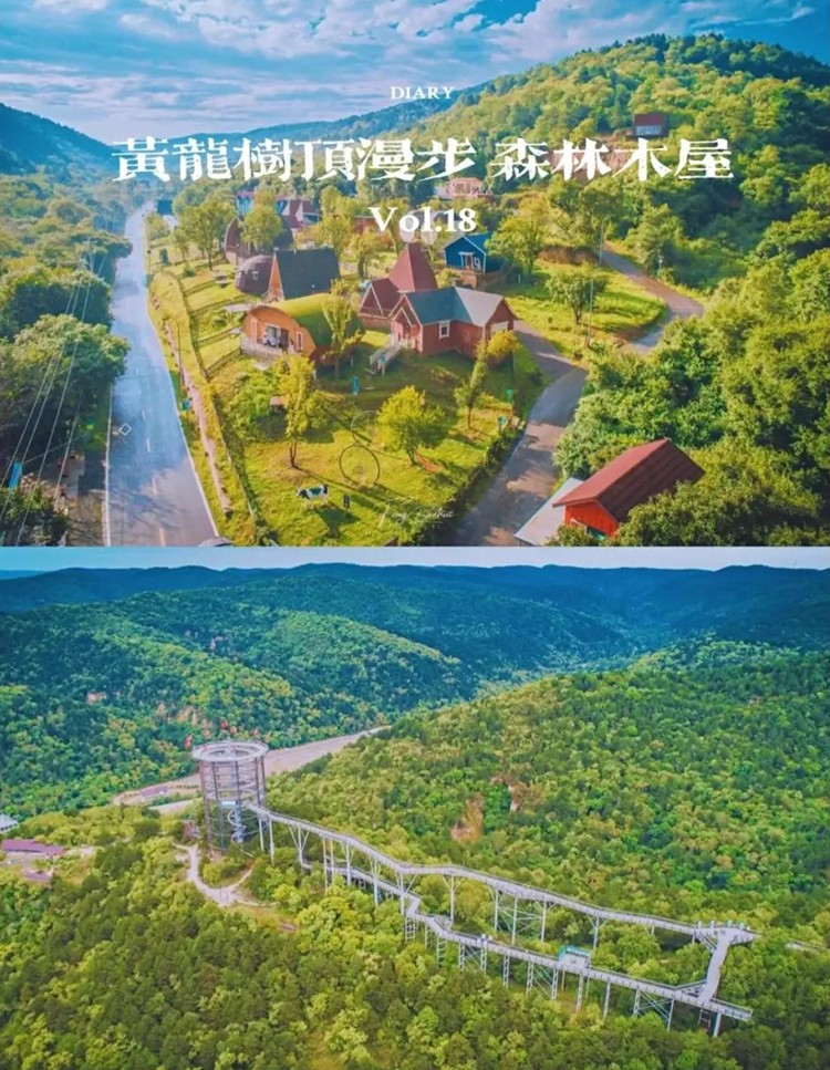2025年金延安3日13