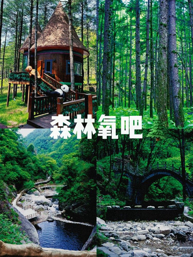 2025年中原小洱海3日31