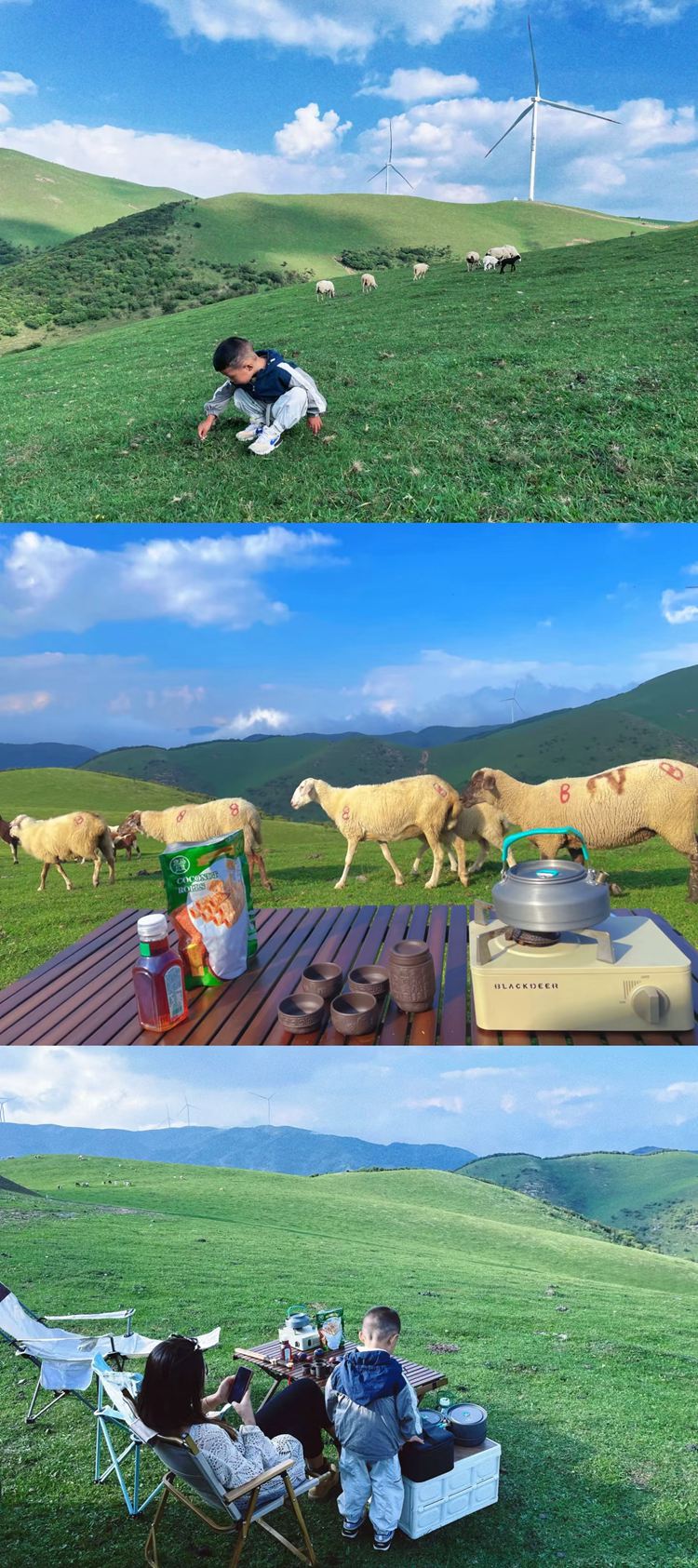 2025年张家川草原3日41