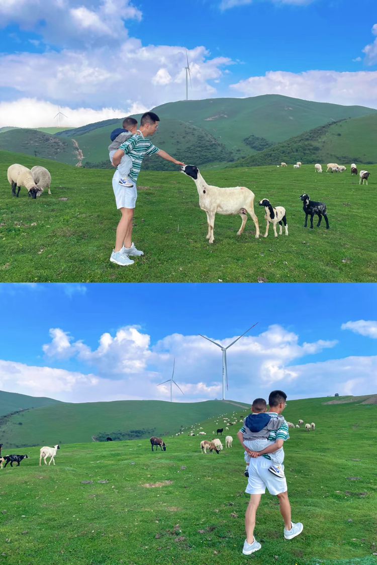 2025年张家川草原3日44