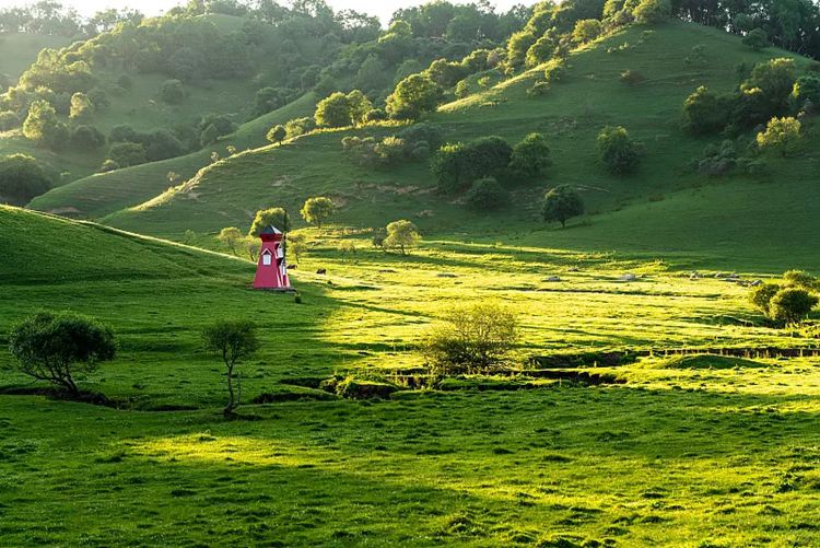 2025年张家川草原3日07
