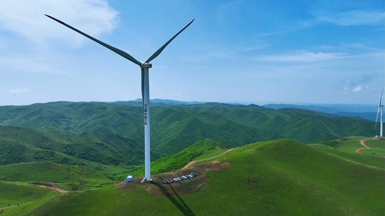 2025年张家川草原3日40