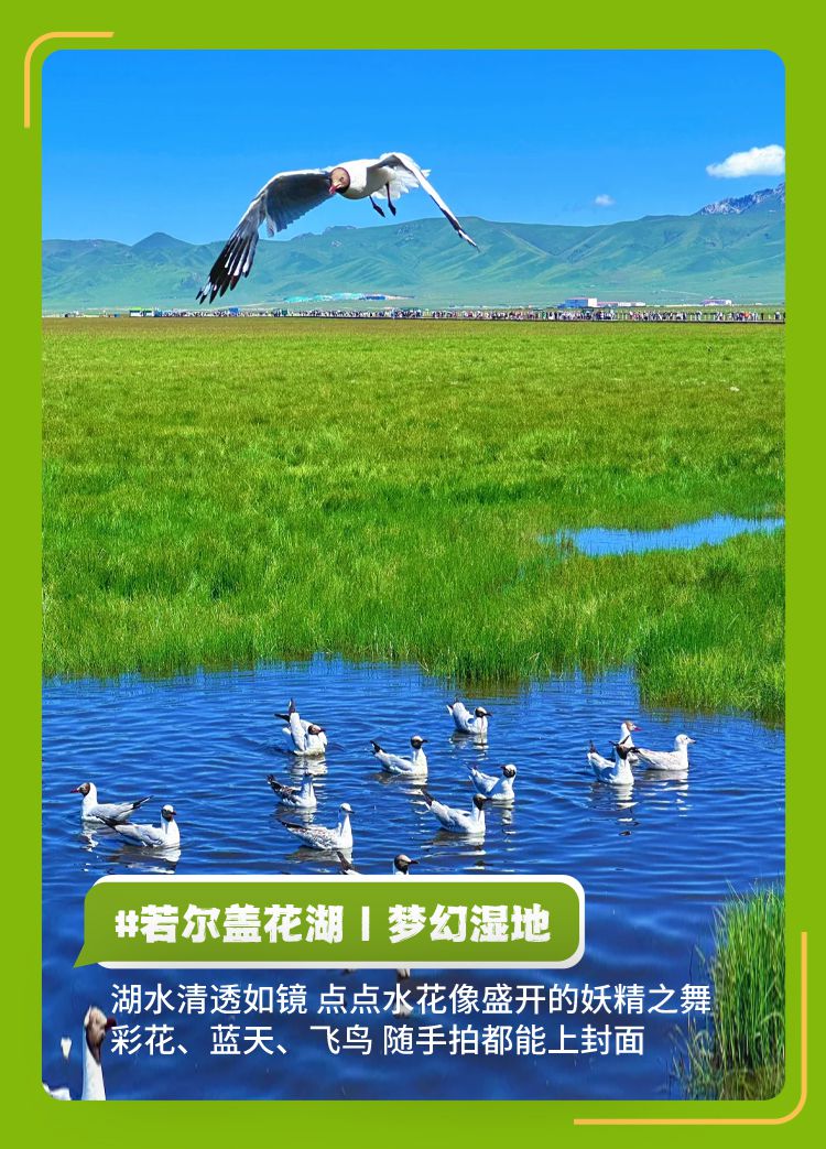 2025年秘境甘南·漫游洛克6日17
