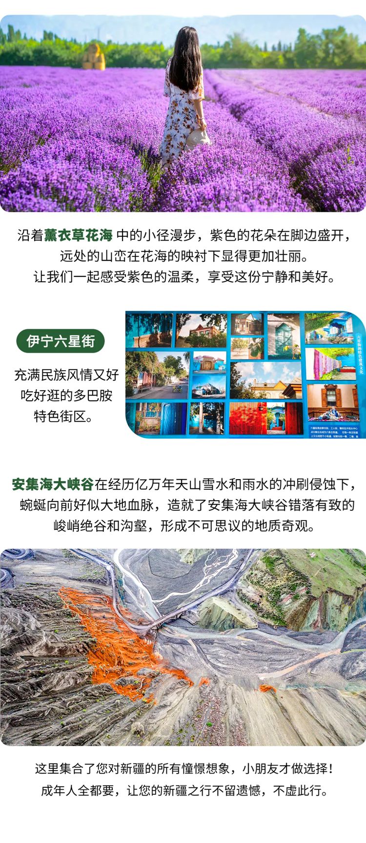 2025年童话新疆独伊无二7日4