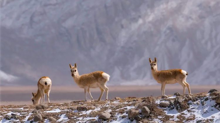 2025年觅境三江源8日14