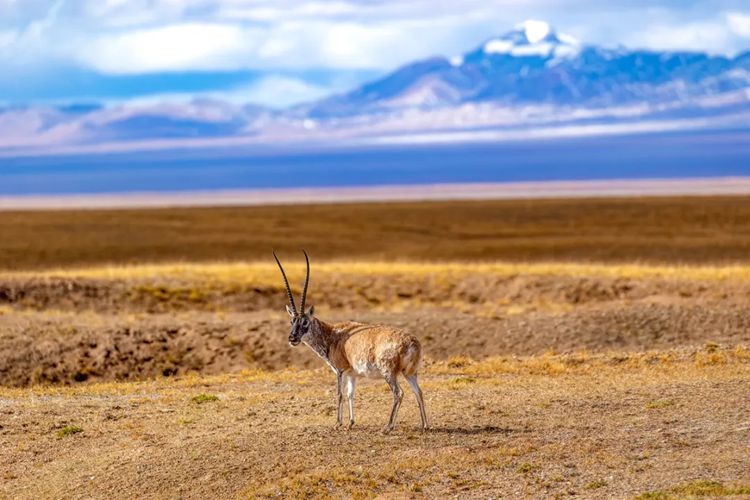 2025年问水三江源8日11