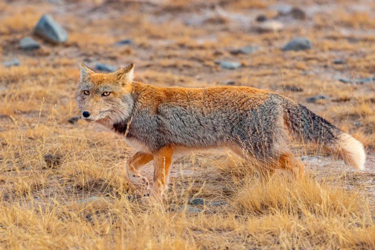 2025年问水三江源8日09